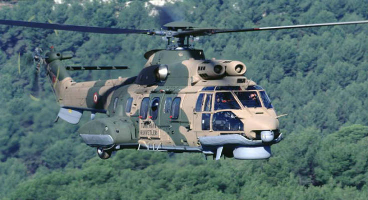 cougar-1B