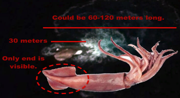 entopistike-kraken-google-earth-video