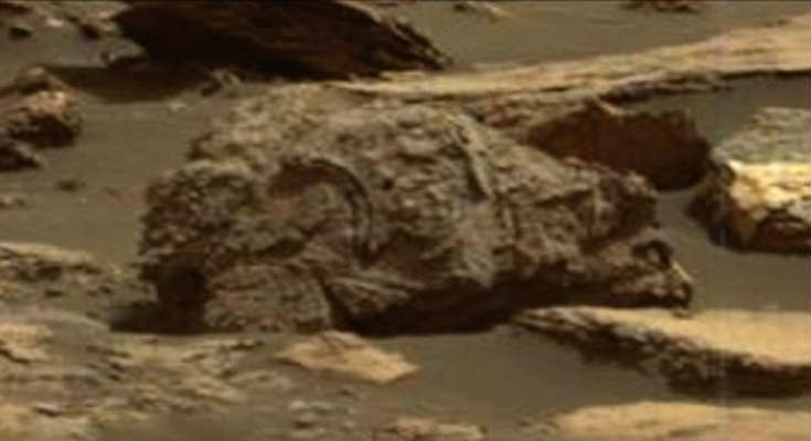 apolithomeno-plasma-entopistike-planiti-ari-video