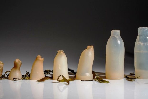 mpoukalia-nerou-apo-fiki-katargoun-plastika