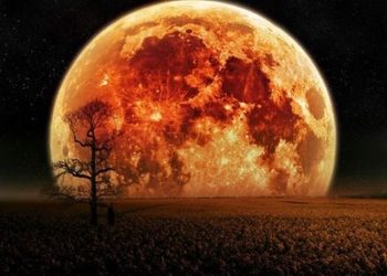 Το InSight τράβηξε την πρώτη του «σέλφι» στον Άρη Το InSight τράβηξε την πρώτη του «σέλφι» στον Άρη