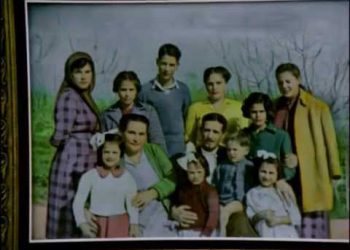 ΜΕΓΑΡΑ 1974: Όταν ξηλώθηκαν χιλιάδες αρχαία ελαιόδενδρα… Ο αγώνας των κατοίκων κατά της βίαιης απαλλοτρίωσης της γης τους, προκειμένου να κατασκευαστεί συγκρότημα διυλιστηρίων! – βίντεο ΜΕΓΑΡΑ 1974: Όταν ξηλώθηκαν χιλιάδες αρχαία ελαιόδενδρα… Ο αγώνας των κατοίκων κατά της βίαιης απαλλοτρίωσης της γης τους, προκειμένου να κατασκευαστεί συγκρότημα διυλιστηρίων! – βίντεο