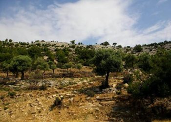 Το αρχαιότερο υπόγειο ορυχείο στην Ευρώπη είναι στην Ελλάδα Το αρχαιότερο υπόγειο ορυχείο στην Ευρώπη είναι στην Ελλάδα
