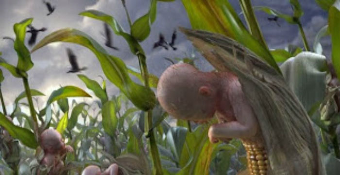 Dark-History-of-Monsanto