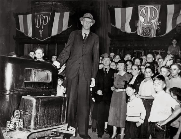 Robert-Wadlow