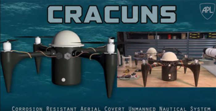 cracuns