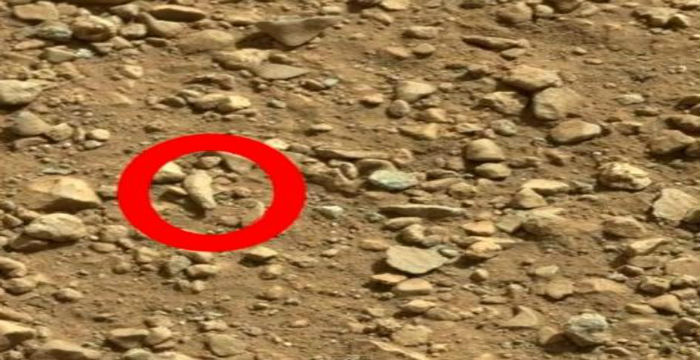 finger on Mars_Curiosity Rover