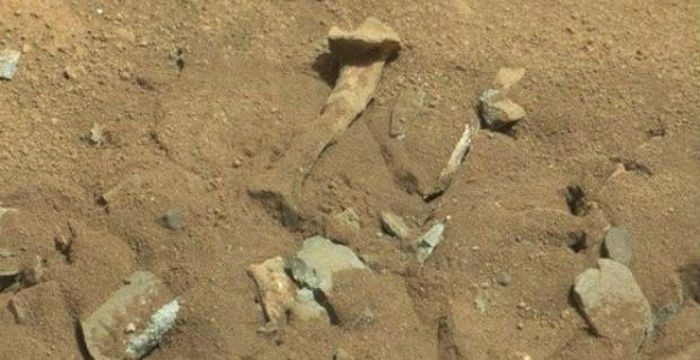mars4