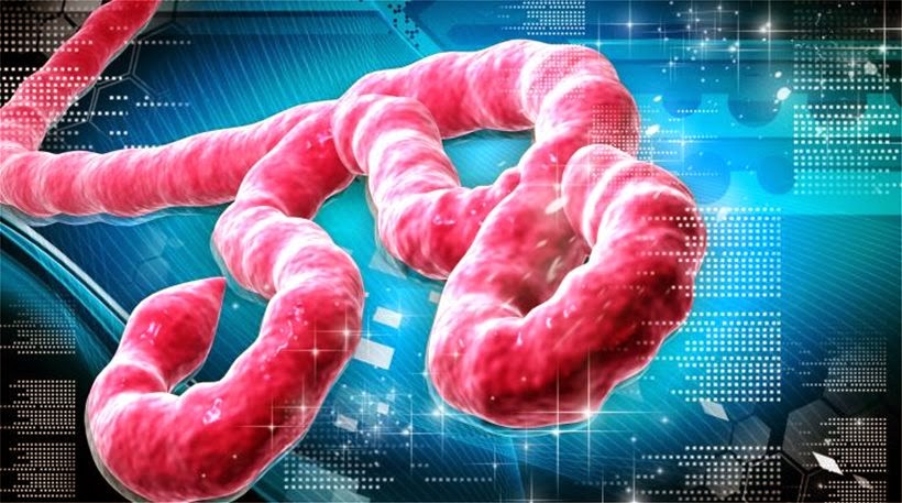 o-ebola-ekane-tin-emfanisi-tou-stis-ipa