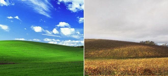 topio-windows
