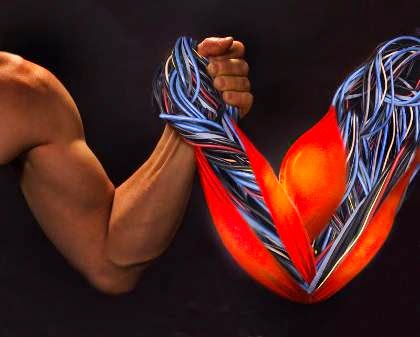 robotic-muscle